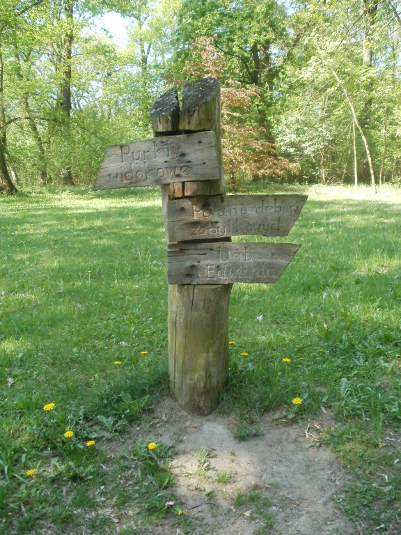 P5010101.jpg