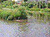 wroclaw30.jpg
