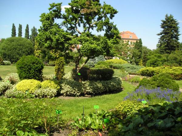 wroclaw40.jpg