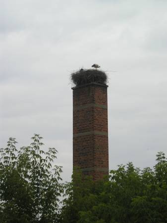 Z_L102.jpg
