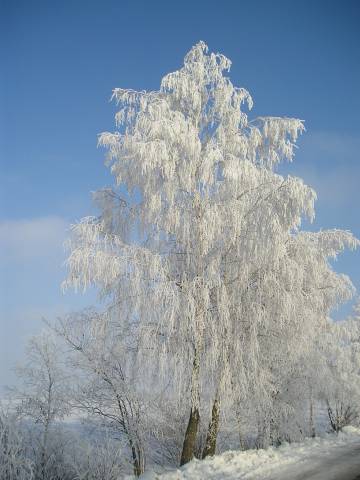 zima_06_12.jpg