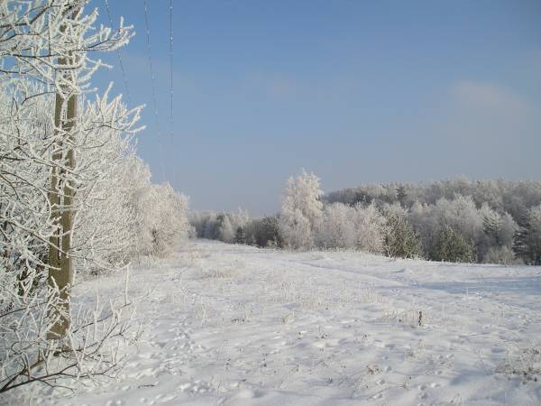zima_06_15.jpg