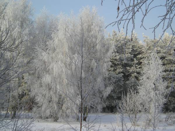 zima_06_2.jpg