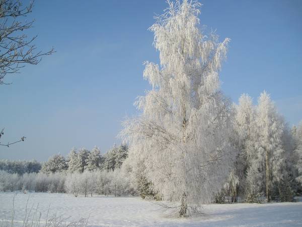 zima_06_22.jpg