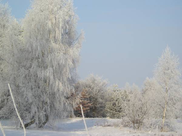 zima_06_23.jpg
