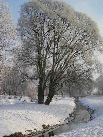 zima_06_25.jpg