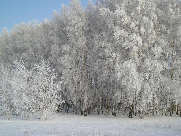 zima_06_8.jpg