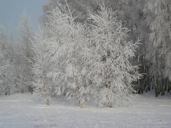 zima_06_9.jpg