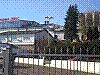 P2030295.jpg
