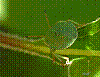 zw90.jpg