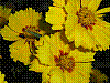 flora252.jpg
