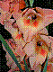 flora287.jpg