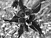 flora321.jpg