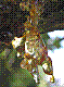 flora351.jpg