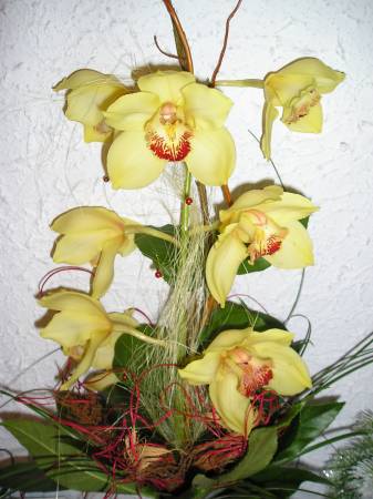 flora289.jpg