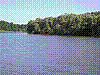 in58.jpg