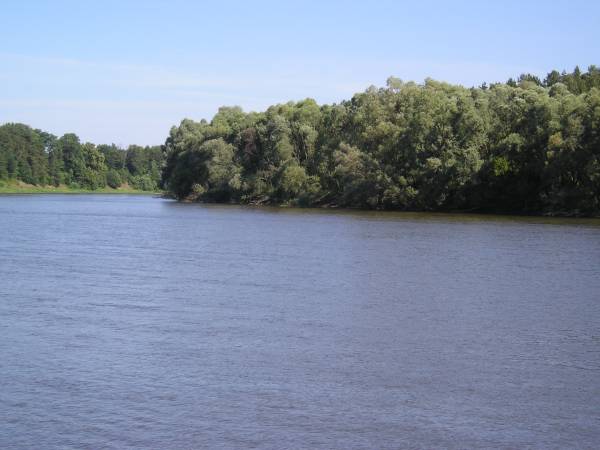 in58.jpg