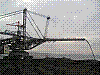 kwb50.jpg