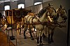 wieden-317.jpg