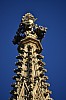 wieden-60.jpg