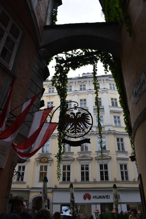 wieden-14.jpg