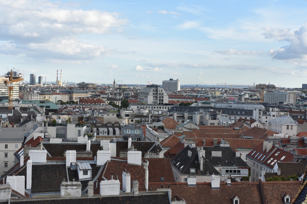wieden-39.jpg