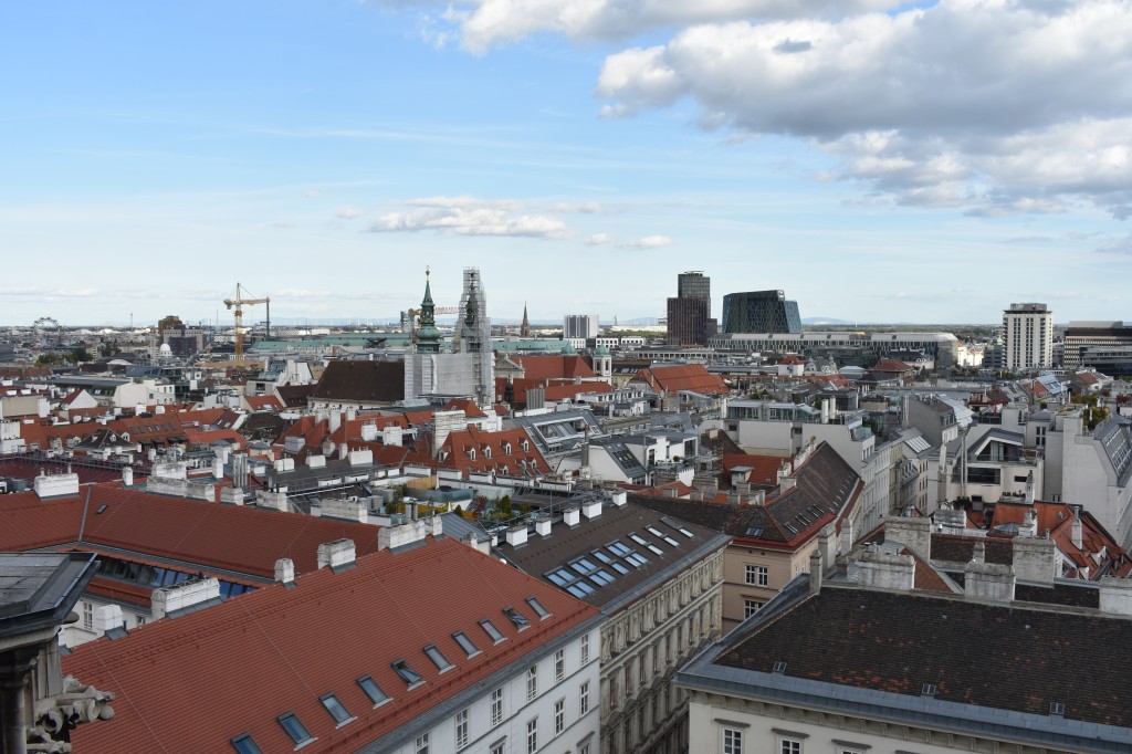 wieden-40.jpg