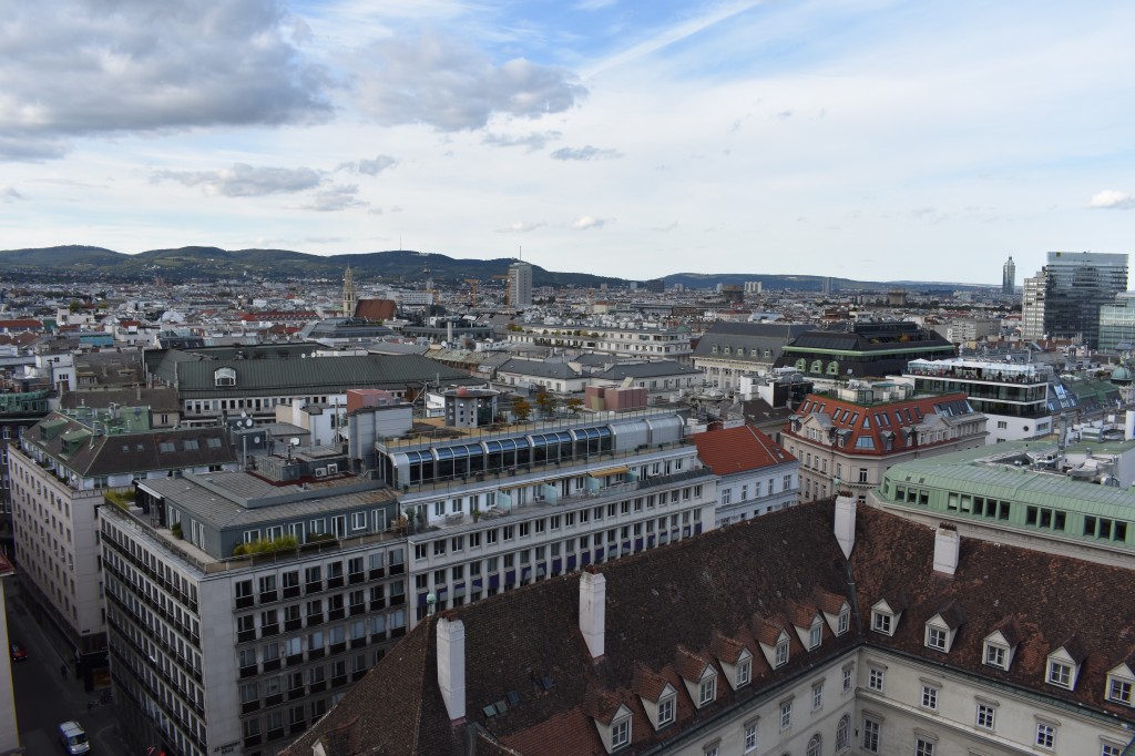 wieden-47.jpg