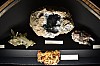 muzeum_p (16).jpg