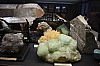 muzeum_p (2).jpg