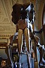 muzeum_p (28).jpg