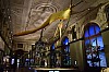 muzeum_p (29).jpg