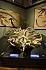muzeum_p (30).jpg
