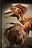 muzeum_p (34).jpg