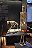 muzeum_p (38).jpg