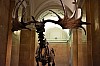 muzeum_p (42).jpg