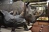 muzeum_p (51).jpg