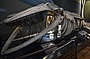 muzeum_p (52).jpg