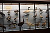muzeum_p (58).jpg