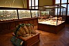 muzeum_p (63).jpg