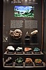 muzeum_p (8).jpg