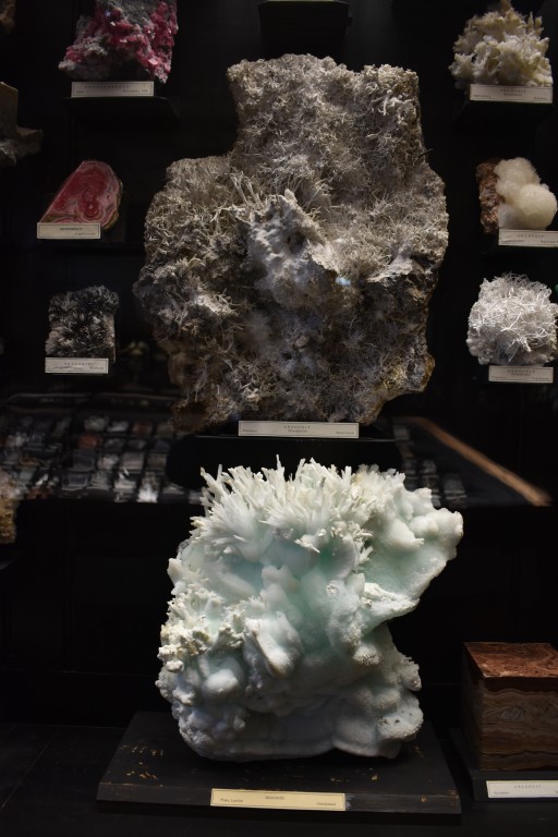 muzeum_p (10).jpg