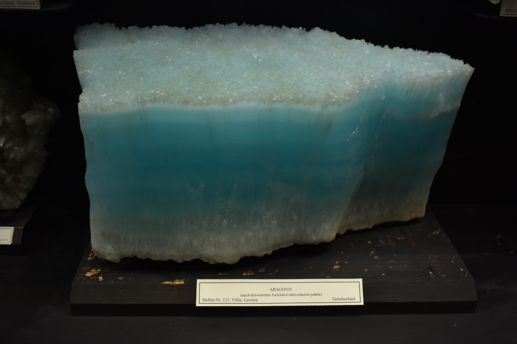 muzeum_p (12).jpg