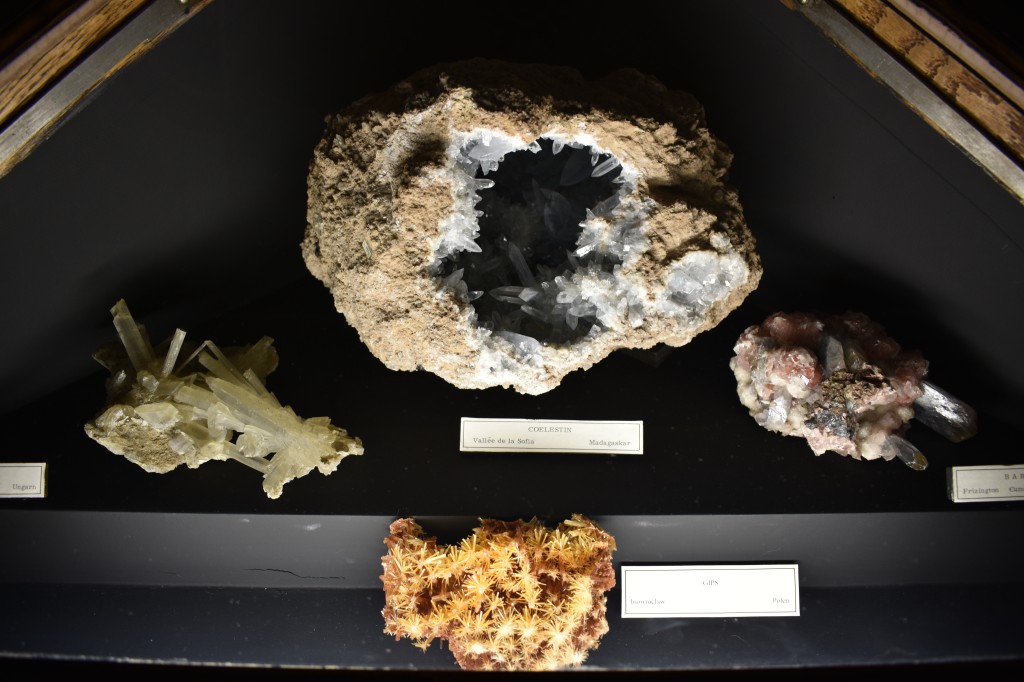 muzeum_p (16).jpg