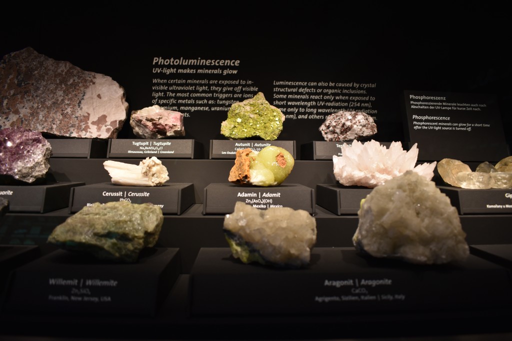 muzeum_p (18).jpg