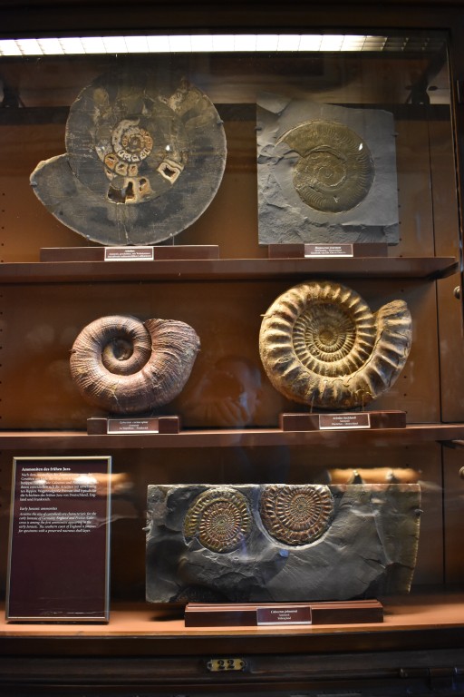 muzeum_p (25).jpg