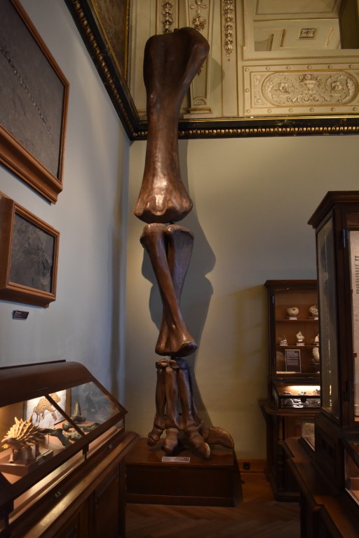 muzeum_p (27).jpg