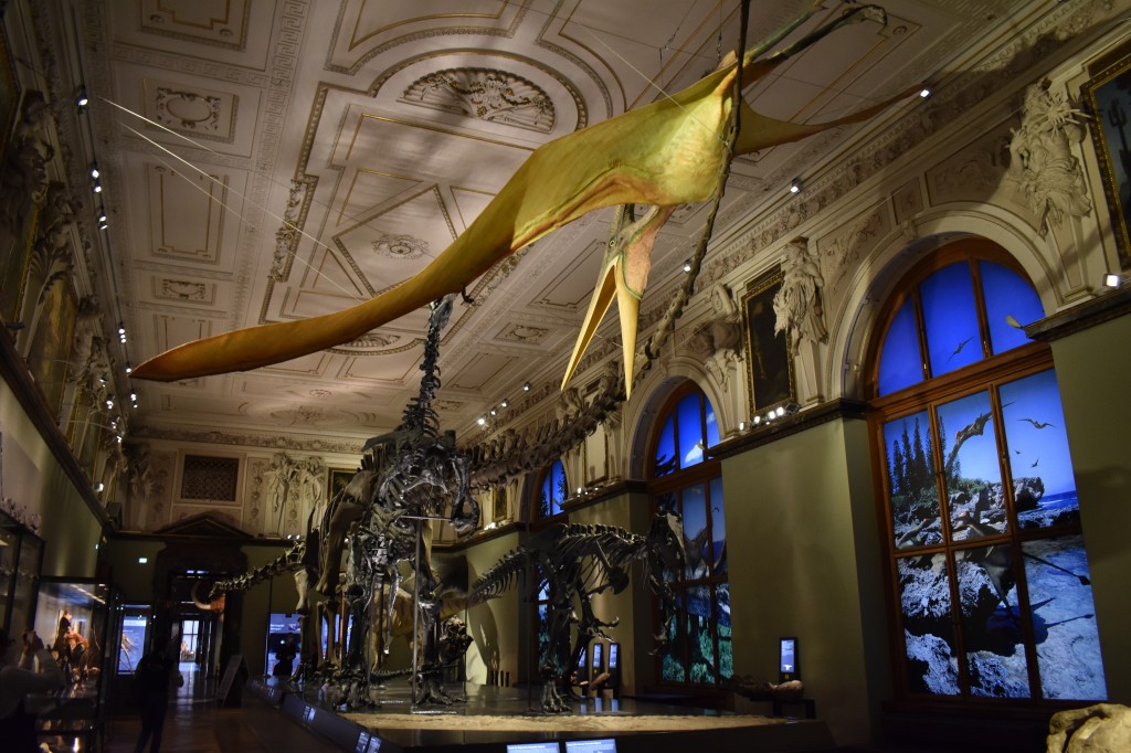 muzeum_p (29).jpg