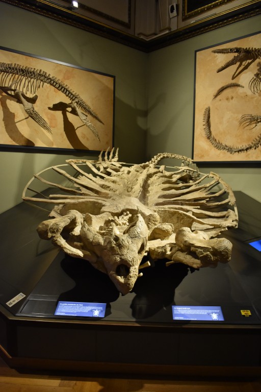 muzeum_p (30).jpg