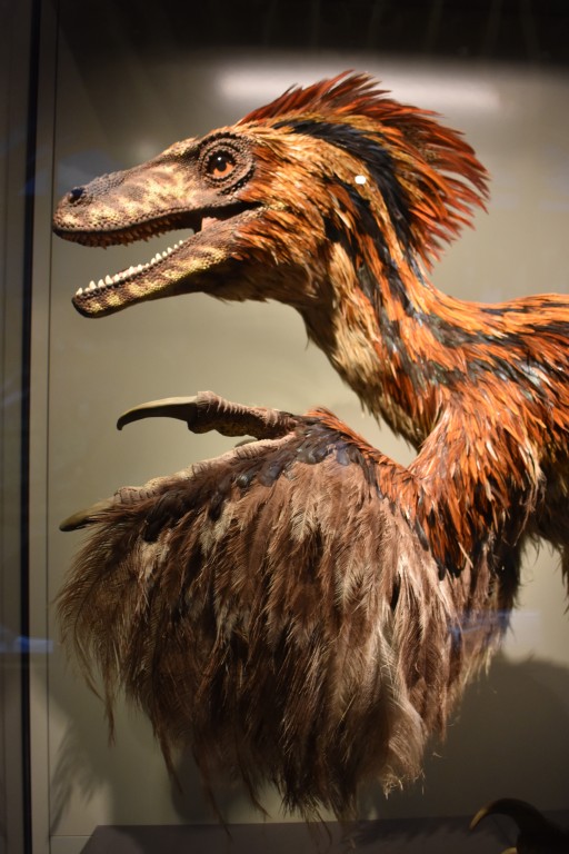 muzeum_p (34).jpg